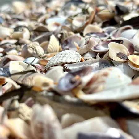 Appartamento Bay - Menada Apatments *