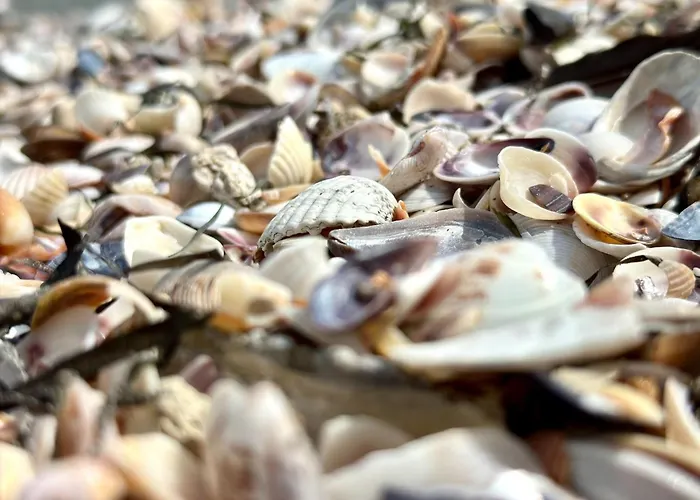 Apartment Bay - Menada Apatments *