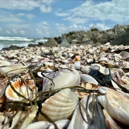 Bay - Menada Apatments 포마리